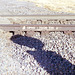 Union Pacific Railroad Main Track