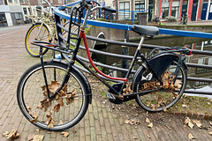 Leafy bike