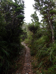 Path up to Black Bluff