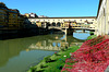 Am Ponte Vecchio in Florenz -HFW