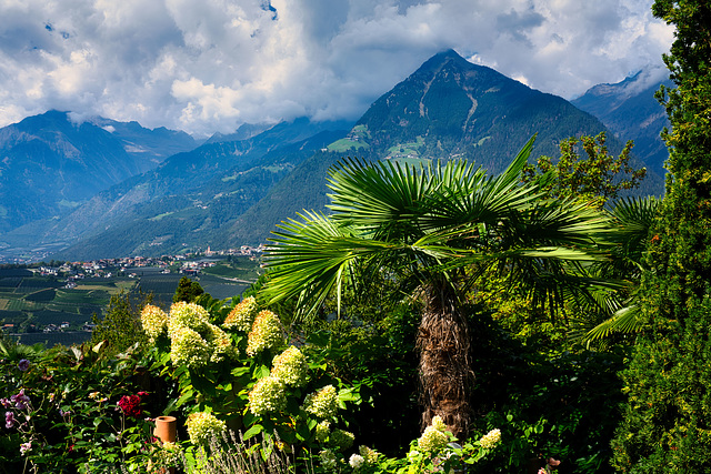 Mediterran trifft Alpin Mediterran trifft Alpin