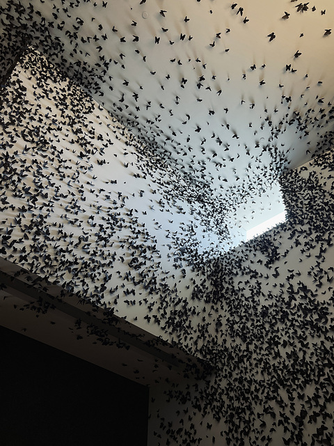 Carlos Amorales: Black Cloud at Phoenix Art Museum