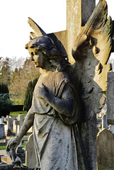 st. marylebone / east finchley cemetery, london