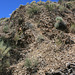 IMG 5719