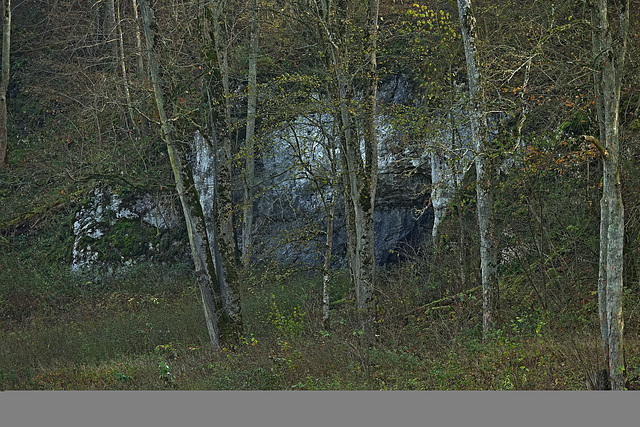 Hohlenstein Stadel-Höhle