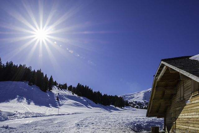 unterwegs zwischen der 'Kleinen Scheidegg' und 'Grindelwald'  (© Buelipix)