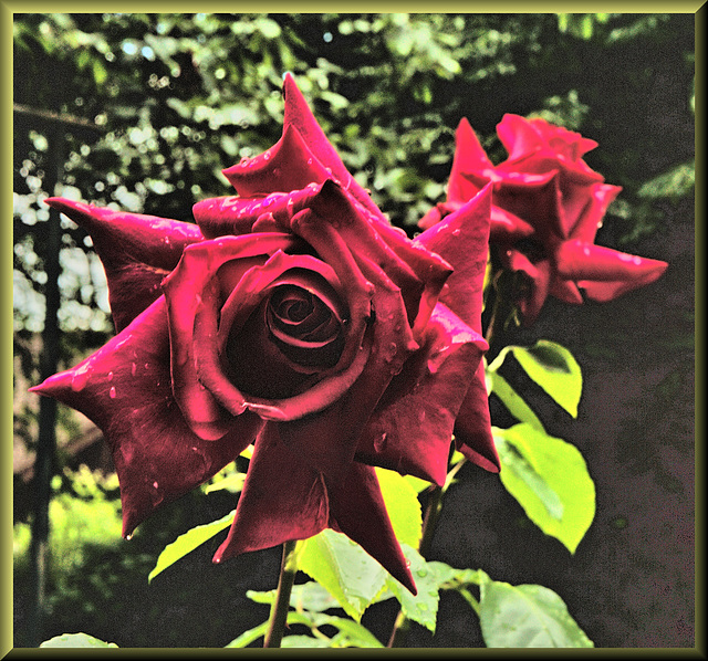 La Reine
