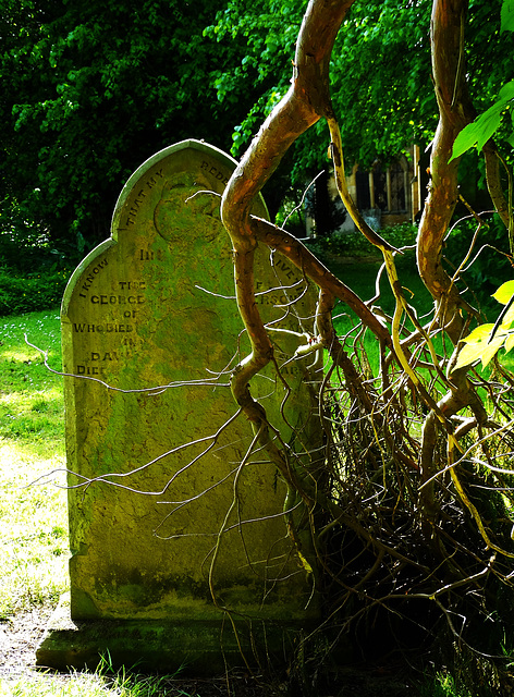 Bothal Churchyard. Northumberland