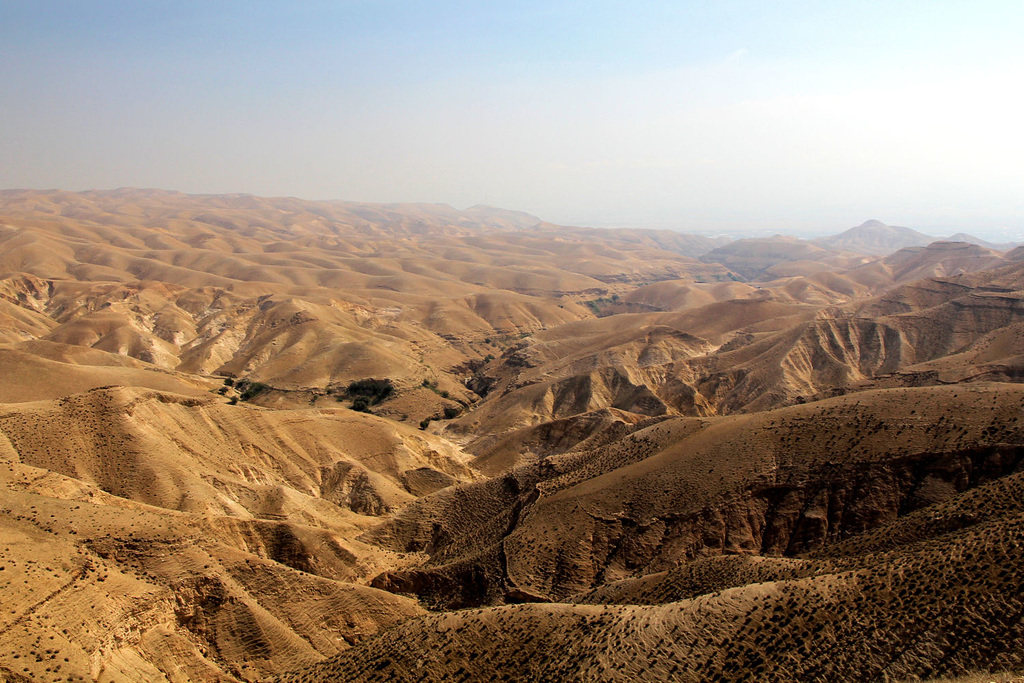 Wadi Qelt