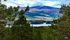 Loch Insh