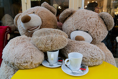 Photo prouvant que les tasses pour humains ne sont pas du tout adaptées aux pattes d'ours