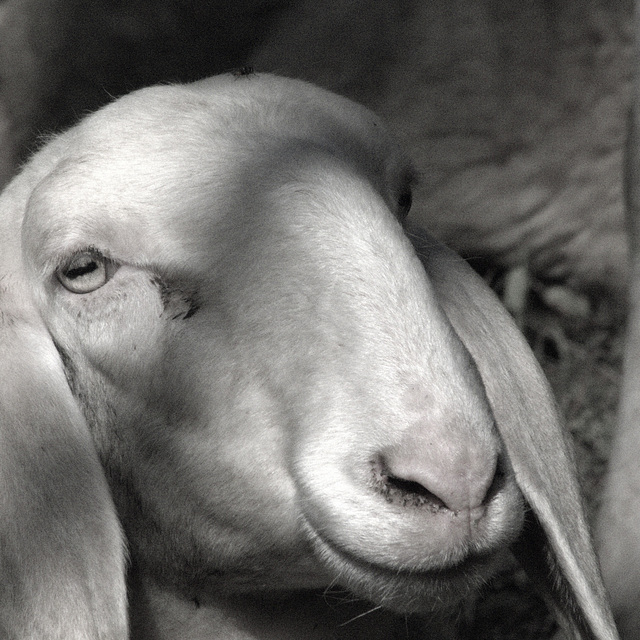 One, one, one, one, one...