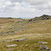View NE from Rough Tor