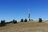 zwischen Seebuck und Feldberg (© Buelipix)