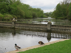 combe abbey, warks (64)