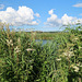 Exeter Ship Canal