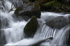 El so de l'aigua