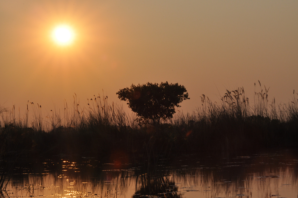 Sunsubiro. Okavango-Delto