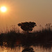 Sunsubiro. Okavango-Delto