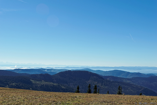 zwischen Seebuck und Feldberg (© Buelipix)