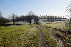 Starahlende Januarsonne