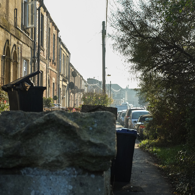 Ashton Street, November Morning