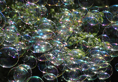 Bubbles