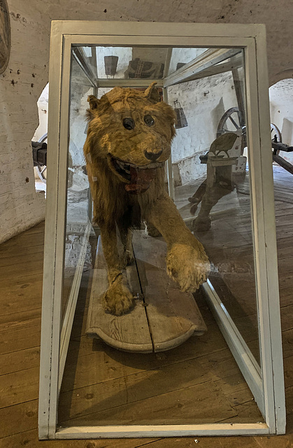 Gripsholm Castle, the famous lion