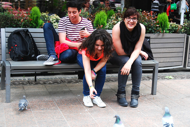 Three people sitting on a bench feeding pigeons!
