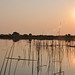 Vesperiĝo en Okavango-Delto