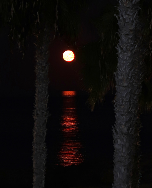 Moon over the sea