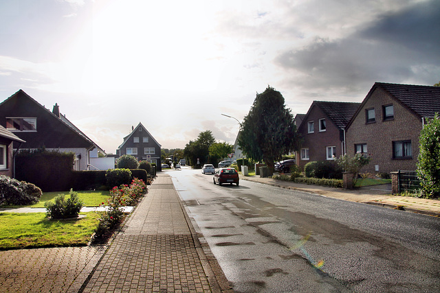 Wilhelm-Leuschner-Straße (Bergkamen) / 17.09.2022