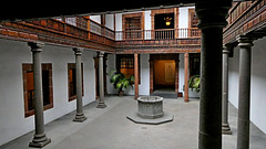 palma (10)
