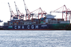 CMA CGM  SAINT GERMAIN