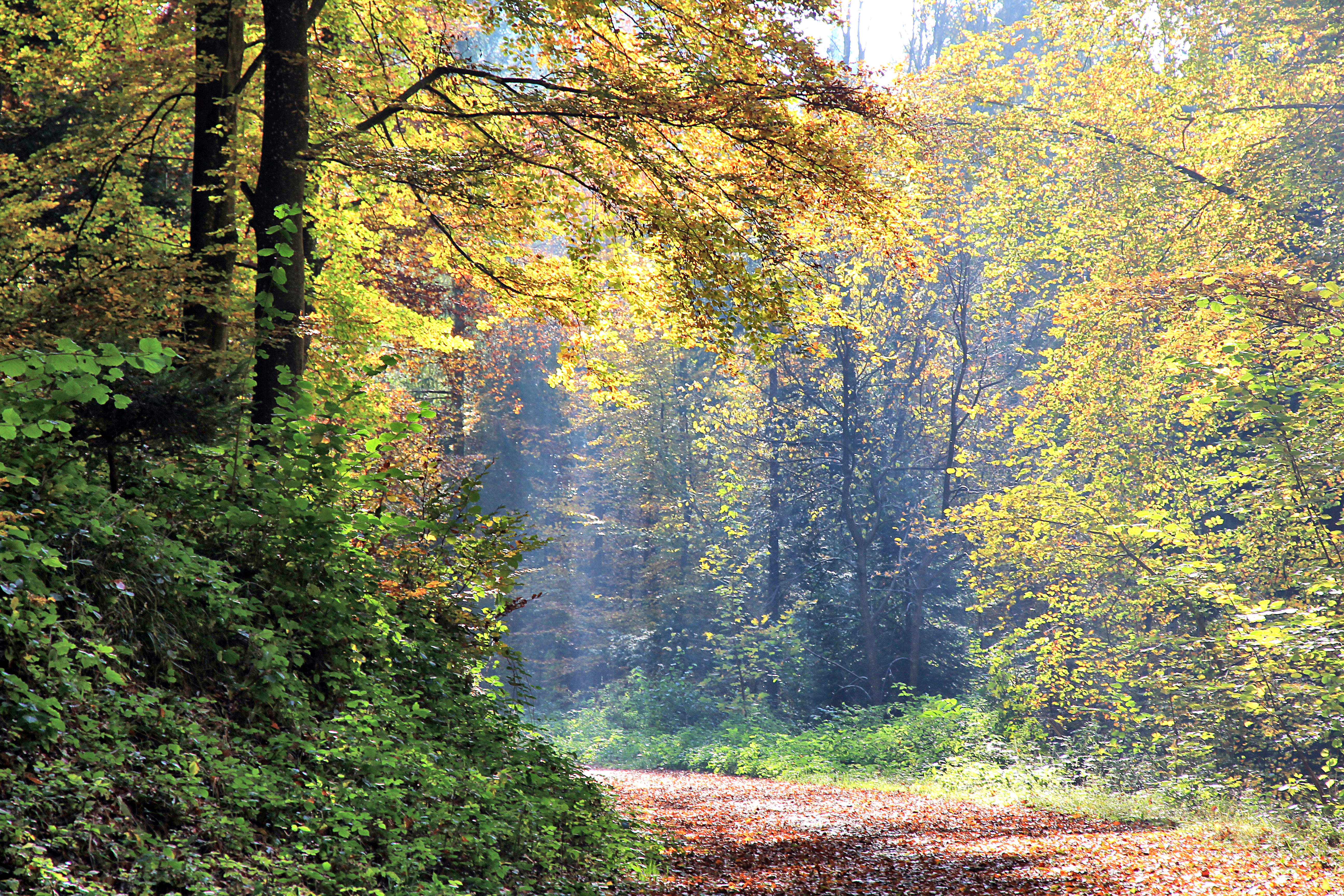 Herbstspaziergang