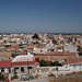 View Over Rojales
