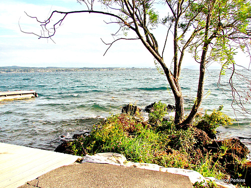 Lake Taupo