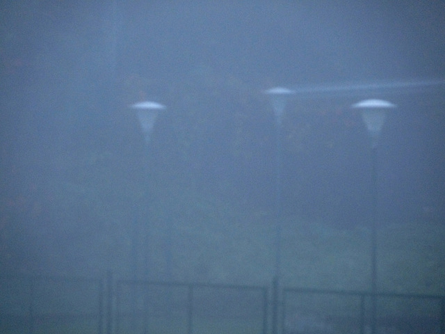 Nebbia - Fog