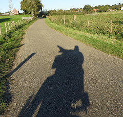 The shadow said,,there a Fence...