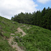 Path to  Riggindale