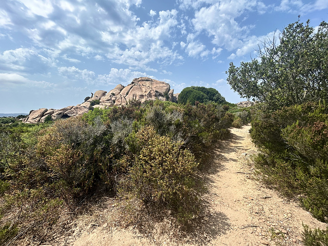Path to remote beaches. Path to remote beaches.