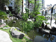 Japanese Garden. Japanese Garden.