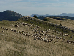 20250916 -19 Haut diois (Cascades Sapet - Valdrome) (120)