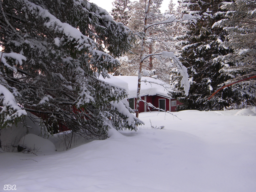 Snow at the Cottage