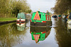 Trent and Mersey Canal