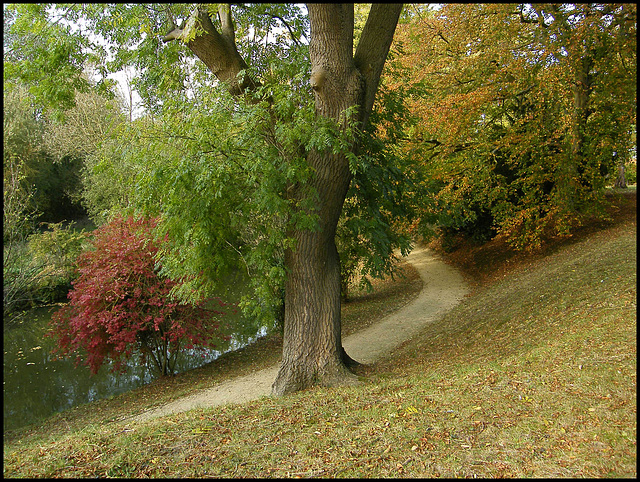 path to the Fellows Garden