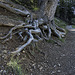 Départ du sentier. (Lac de Souliers ).