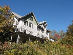 Wooden house among greenery.