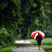 Rainy Saturday morning stroll in the park