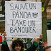 Panda vs banquier